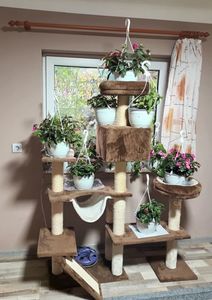 Ansamblul de catarat al pisicilor; Folosit de achi in timpul noptii. ;)
