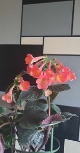 received_643588221233624