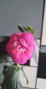 received_835646704667937