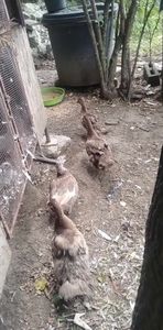 received_680531943591708