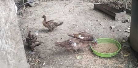 received_1365100857549956