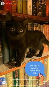 ⊱ ᵖᵒˢᵗᵉᵈ ᵇʸ ↳ ᴋɪᴍ ᴅᴀᴍɪ ⊰