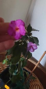 received_843238257286531