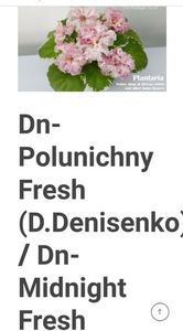 Poza net