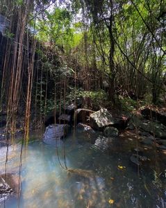 The entrance to my muck-monṥter grotto