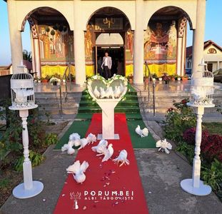Porumbei albi la nuntă; Porumbei albi la nunta în Dambovita Evenimente VIP
