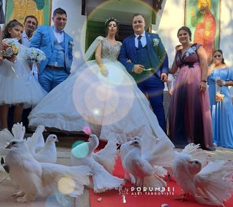 Porumbei albi la nunta în Dambovita Evenimente VIP; Porumbei albi la nunta
