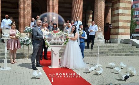 Porumbei albi la nunta în Dambovita Evenimente VIP; Porumbei albi la nuntă
