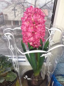IMG-20230214-WA0022