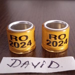 2024 - galben gold,8mm....-1 leu