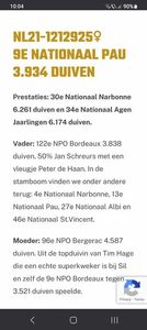 Sil van Vliet; 1e Beste Zware Fondduif Int. PIPA-Ranking (4 prijzen) 2022-2023
  5e Beste Zware Fondduif Int. PIPA-Ranking (3 prijzen) 2022-2023
  4e Beste Zware Fondduif Ned. PIPA-Ranking (3 prijzen) 2023
  4e Asdu
