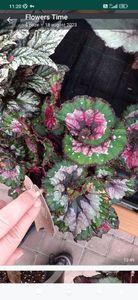 Screenshot_2023-09-22-11-20-30-726_com.whatsapp