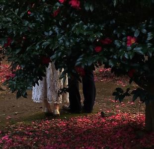 Ottoline did, –– by trying to piss off a boy she used to have a massive crush on.; ...that depends on what’s too cruel for you!
