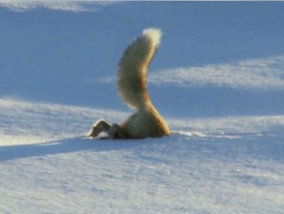 Couches are not a place for sleeping in the first place!; And what will you do if you have a guest? ¡¡¡ǝɯ ǝʌɹɐʇs oʇ ɓuᴉoɓ ǝɹǝʍ no⅄
