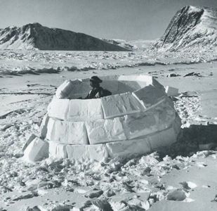 Where do you want to stay? It’s your turn in the living room!; Aren’t fairies glowing from the pixie dust? What a lousy land.
