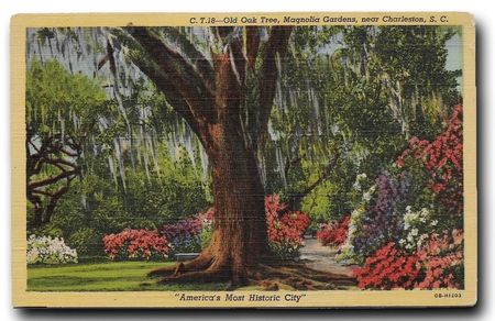 Fine. If you wish to be surprised, I will say no more.; Which one?
