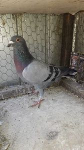IMG-20231101-WA0021