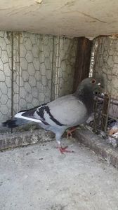 IMG-20231101-WA0019