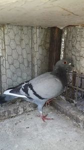 IMG-20231101-WA0007