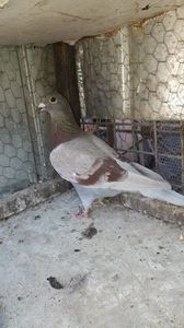 IMG-20231101-WA0025