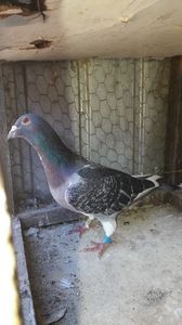 IMG-20231101-WA0022