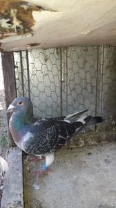 IMG-20231101-WA0006