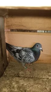 IMG-20231103-WA0019