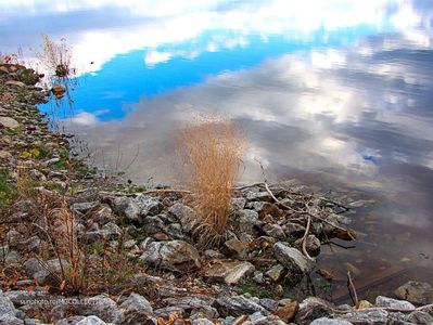 Pe malul lacului - On the riverside