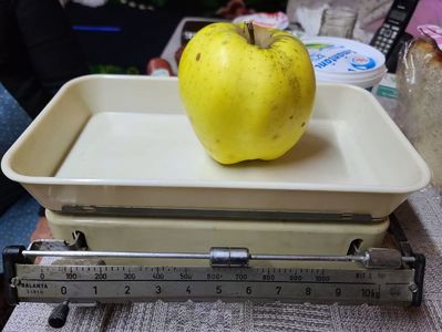 IMG-2023.11.03-Nu,nu e gutuie..; E un măr uriaș :)
