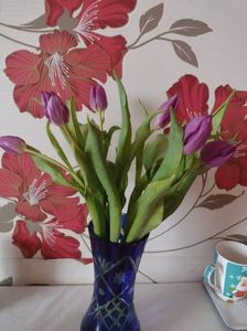 IMG-20231109-WA0004