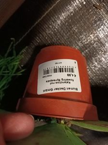 IMG20231118182706