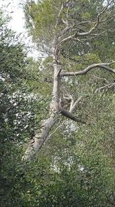 IMG-20210513-WA0041