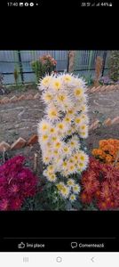received_1059043822196459