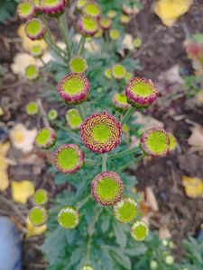 IMG-20231024-WA0012