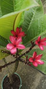 received_191888797118861