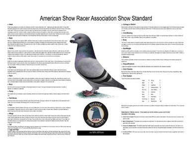 STANDARD ASR