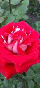 received_1727398814430187