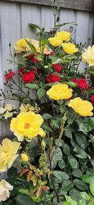 received_1857777791291473