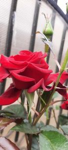 received_745071127653635