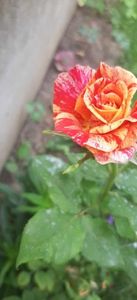 received_738535284352138