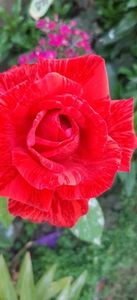 received_1125309155574137