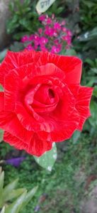 received_1394452658163296