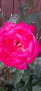 received_803708678178901