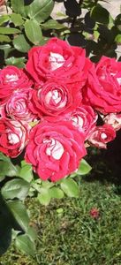 received_176034358929228