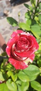 received_1096643774843771