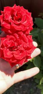 received_369228962181342