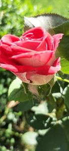 received_869915751584101
