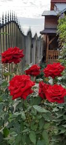 received_829268565871823