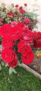 received_205364695963799