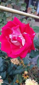 received_1117833056204551
